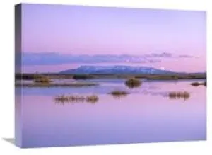 18 x 24 in. Full Moon Rising Over Sangre De Cristo Mountain Range, Alamosa National Wildlife Refuge, Colorado Art Print - Tim Fitzharris
