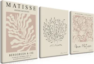 AKWISH Matisse Aesthetic Canvas Wall Art Set of 3, Abstract Henri Matisse Beige Neutral Wall Home Decor Boho Flower Abstract Poster Prints, for Living Room Bedroom, 12x16 Framed