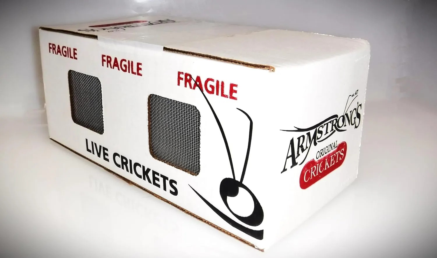 Armstrong's Original Crickets Superworms (Zophobas morio) Kingworms (Large 1.75" ) (Medium 1.25-1.74") (250, Medium)
