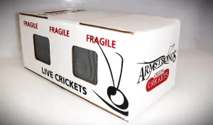 Armstrong's Original Crickets Superworms (Zophobas morio) Kingworms (Large 1.75" ) (Medium 1.25-1.74") (250, Medium)