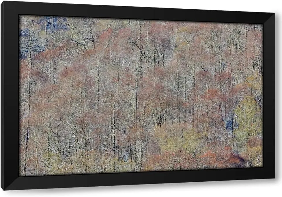 ArtDirect USA- Tennessee. Great Smoky Mountains National Park with late springtime snow Custom Framed Art Print Giclee Print or Canvas Options with Various Sizes and Customization by Gulin, Darrell (549574)