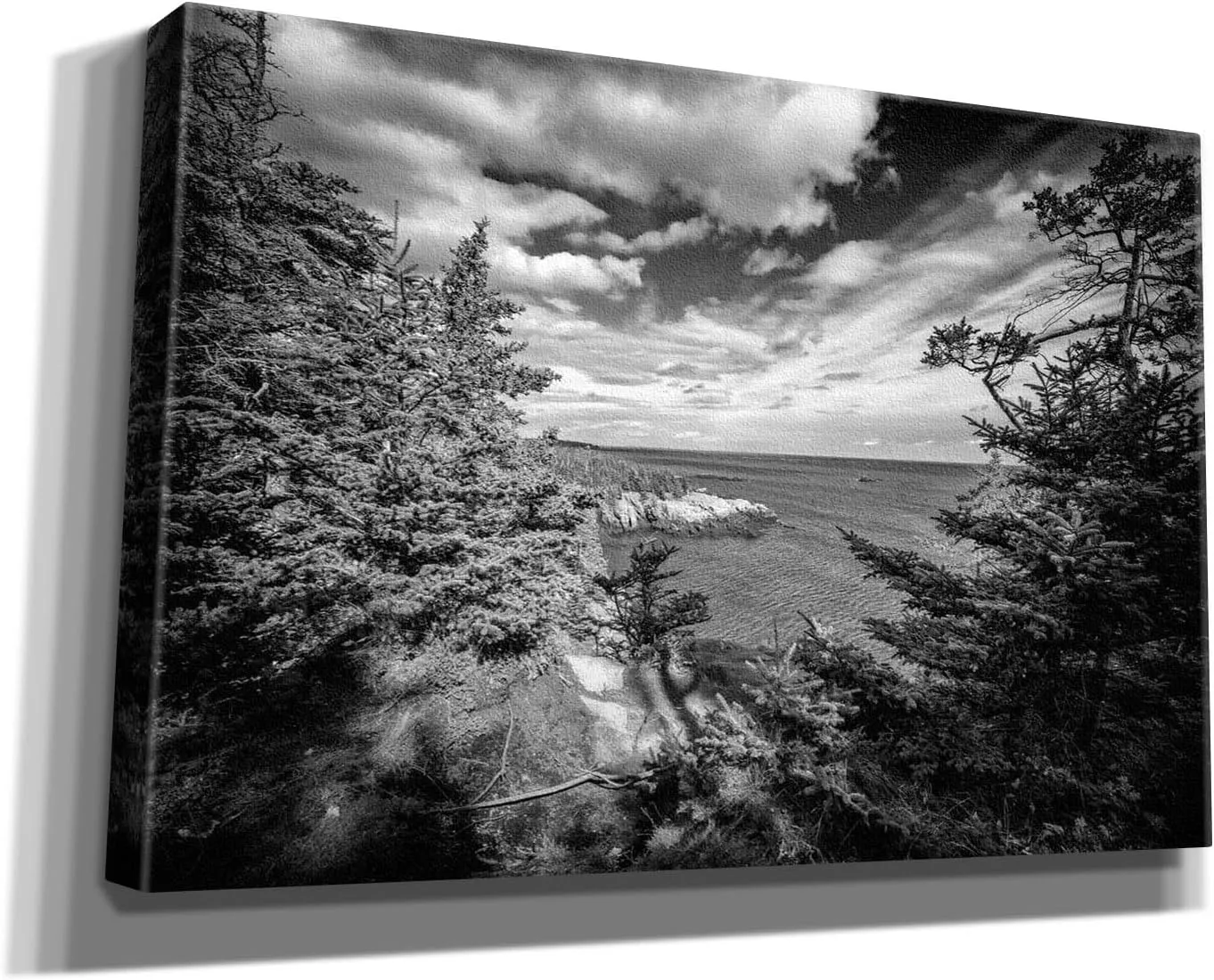 'Autumn Afternoon At West Quoddy Head' by Rick Berk Canvas Wall Art, 18" x 12"