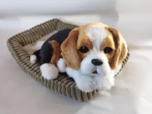 Beagle Dog, Realistic, Lifelike Stuffed Interactive Nodding Pet Toy, Companion Pet Puppy with 100% Handcrafted Synthetic Fur, Gold; Brown; Black;