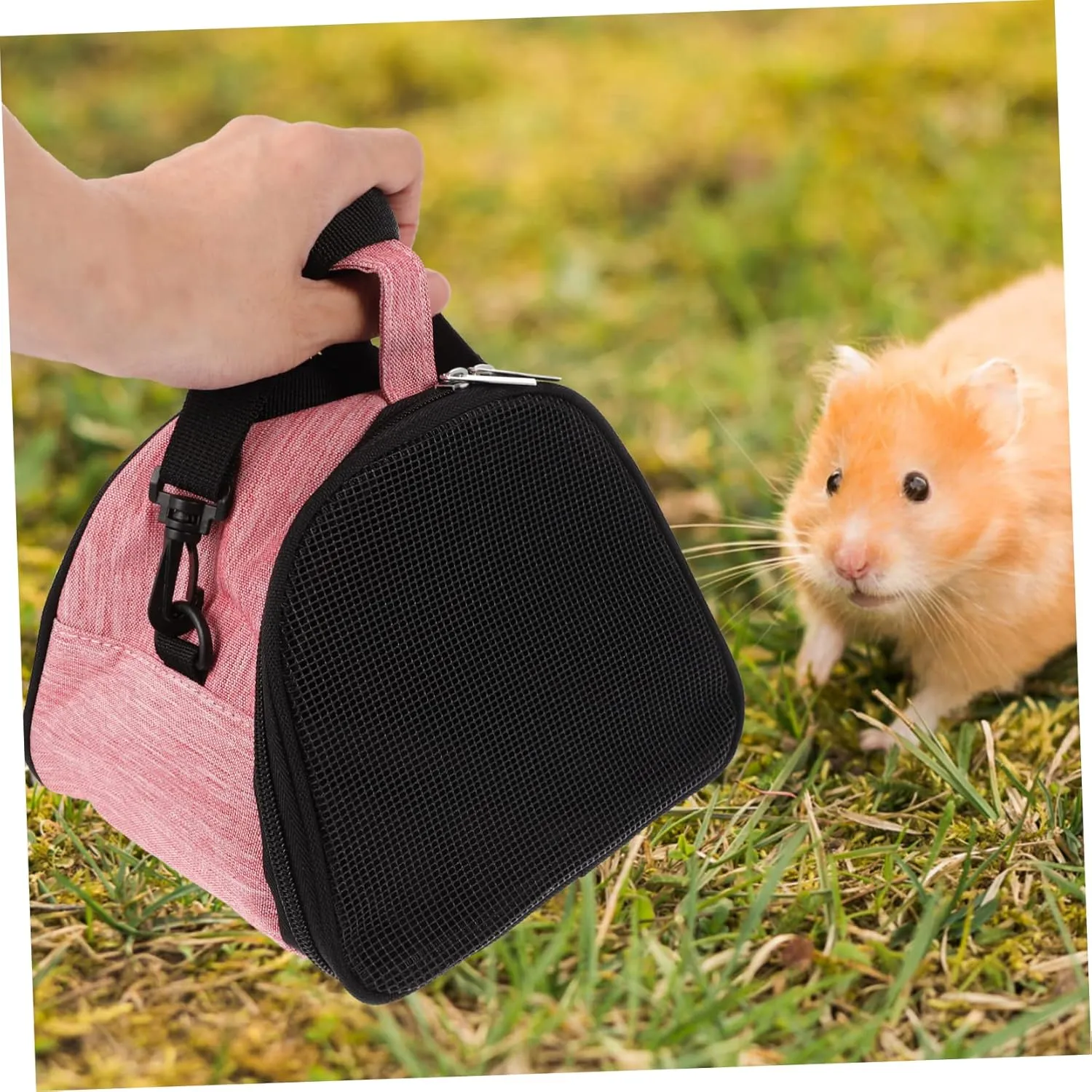 BESPORTBLE 3pcs Hamster Backpack Breathable Mesh Carrier for Small Pets Guinea Travel Bag