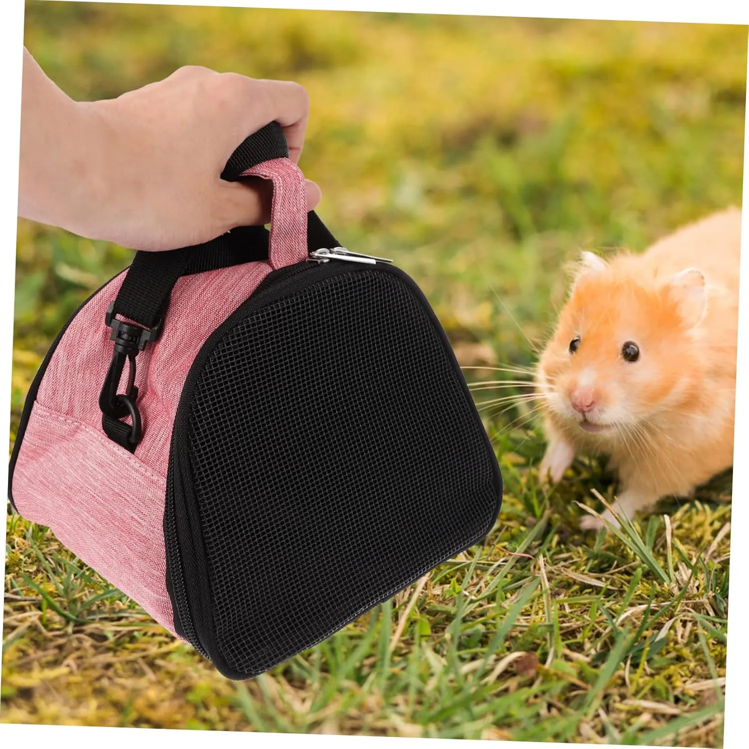 BESPORTBLE Hamster Travel Bag Guinea Pig Carrier Bunny Carrier Rat Carrier Pet Supplies Breathable Mesh Easy to Open Zipper Sturdy for Small Pet Travel
