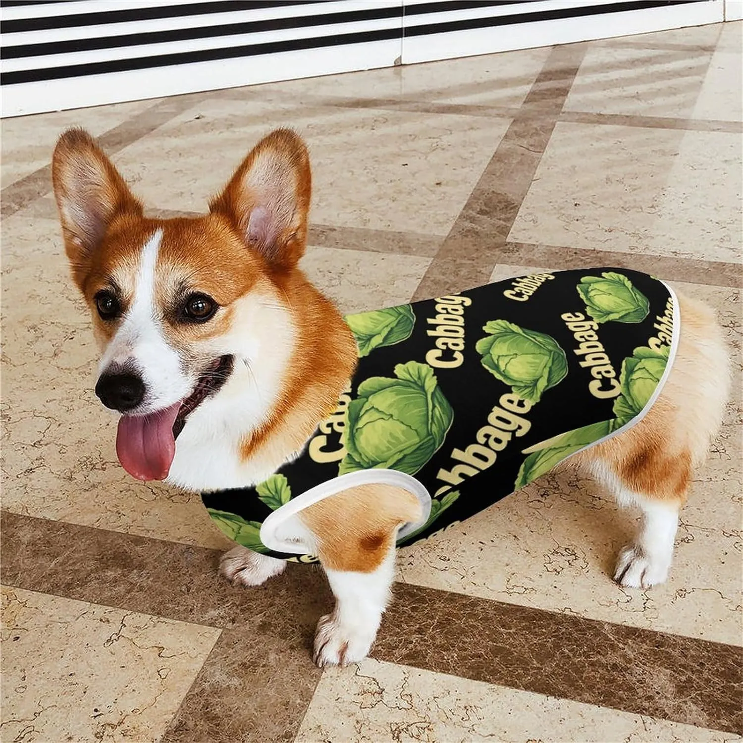Cabbage Pet Clothes Funny Puppy Dog Vest Sleeveless Pets Shirts Jacket for Small Medium Dogs Cat M