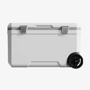 Car Camping Coolers for Renault Mégane/Scénic/Talisman/Trafic/Zoe, Waterproof Portable Cooler, Leak Proof Picnic Insulated Bag, Ultra-Light Premium Ice Chest Box,B-White-70L