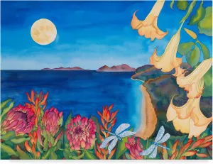 Carissa Luminess 'Full Moon Transformation' Canvas Art