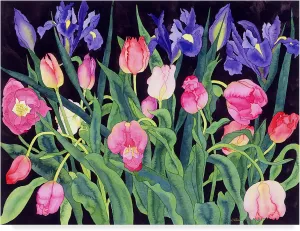 Carissa Luminess 'Tulips And Irises' Canvas Art
