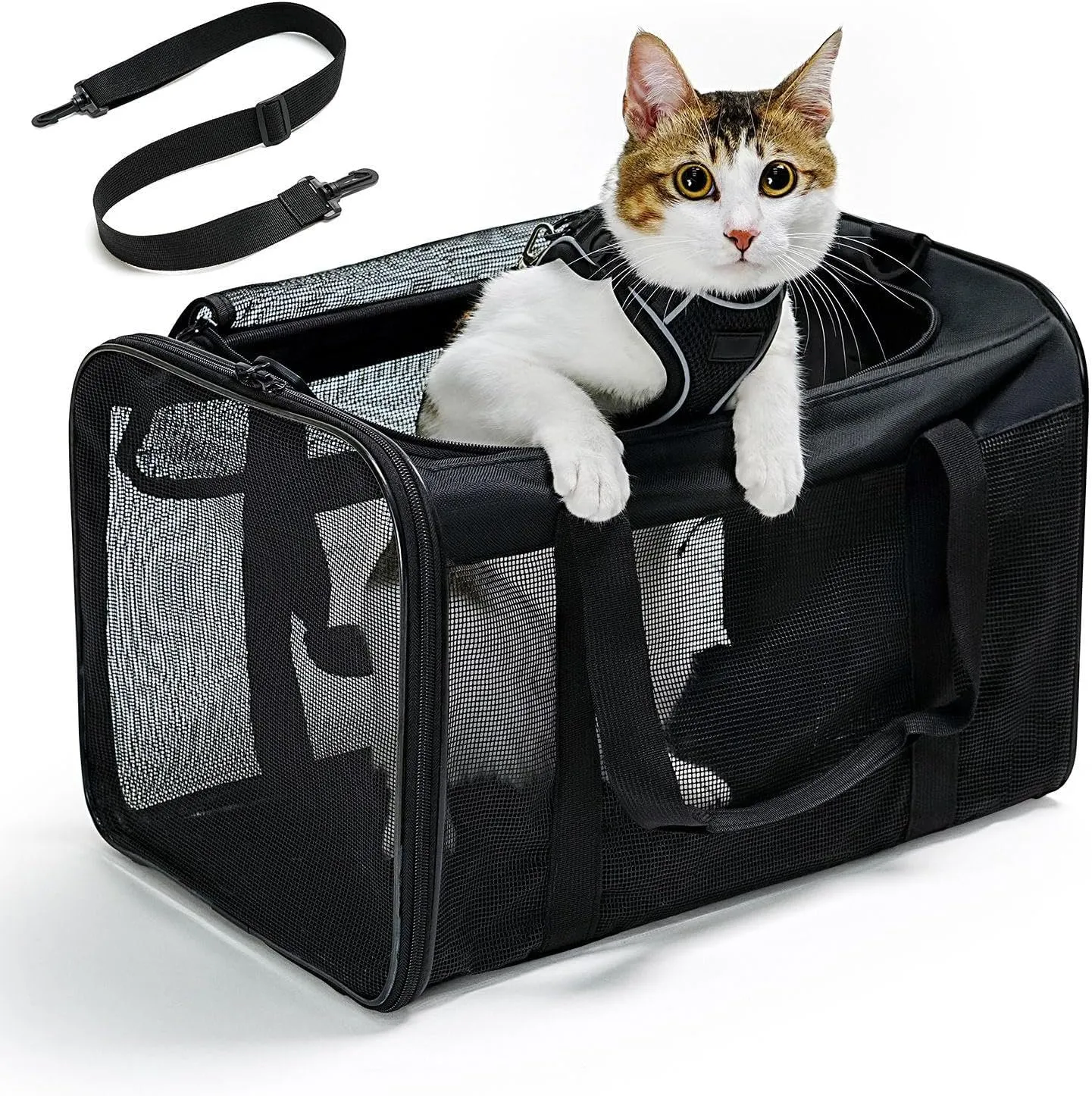 Cat Carrier Bag,Soft-Sided Pet Carriers for Dogs with 4-Sided Mesh,Airline Approved Cat Transport Carrier for Small&Medium Cats Kitten Puppy Up to 15Lb,Collapsible Cat Travel Carrier-M,Black