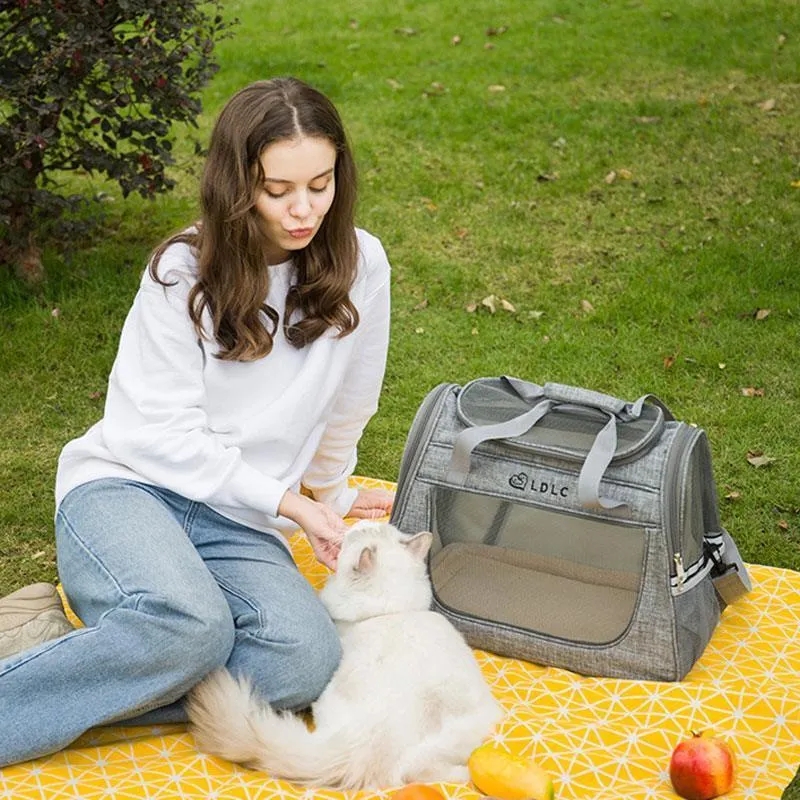 Cat Carrier With Wheels 2 Color Large Tote Trolley