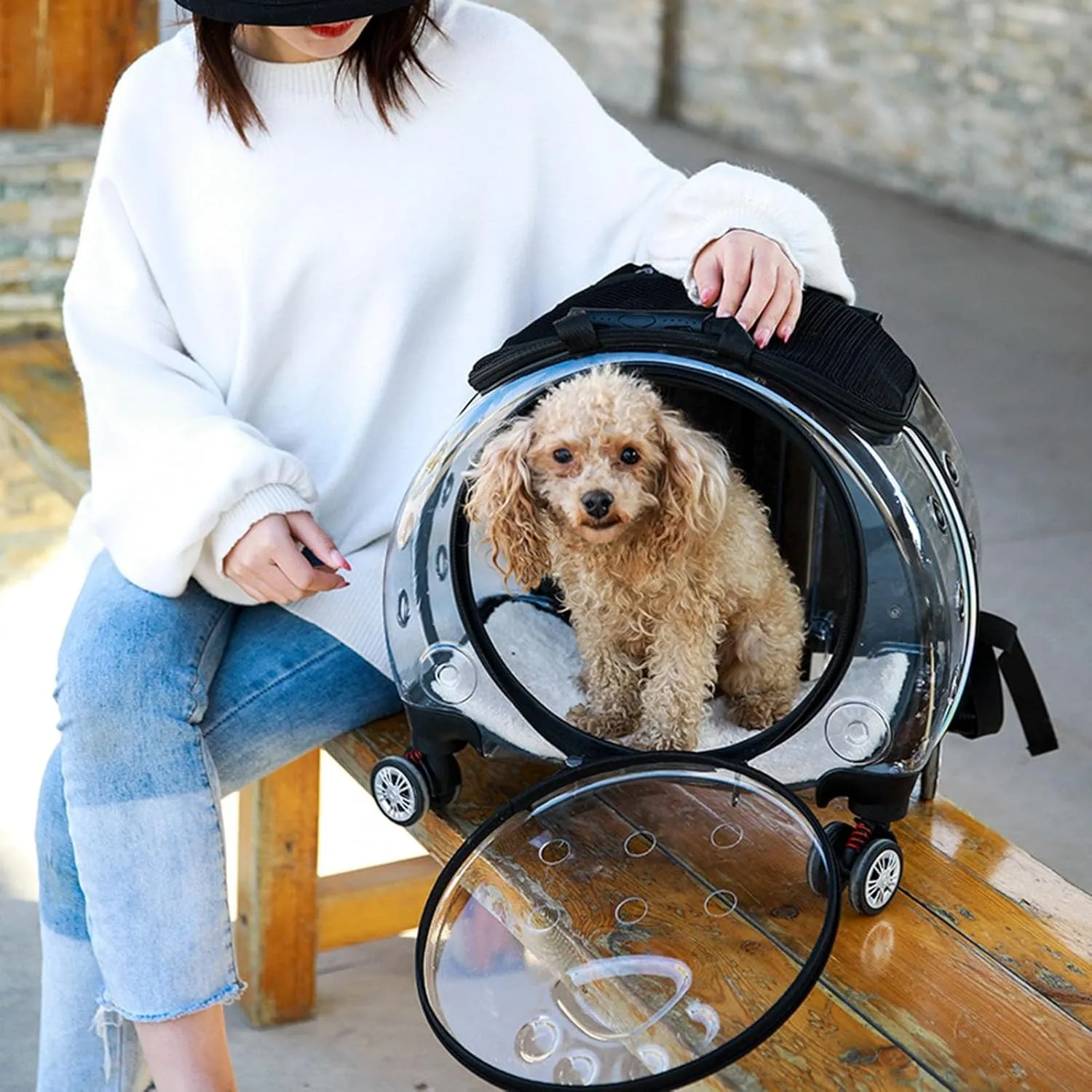 Cat Carrier with Wheels,Transparent Bubble Cat Carrier Pet Trolley Case Pet Backpack for Kitty Small Dog[Clear Ventilation Holes Silent Wheels] Pet Carrier for Hiking Travel Fast Arroval from USA Bla