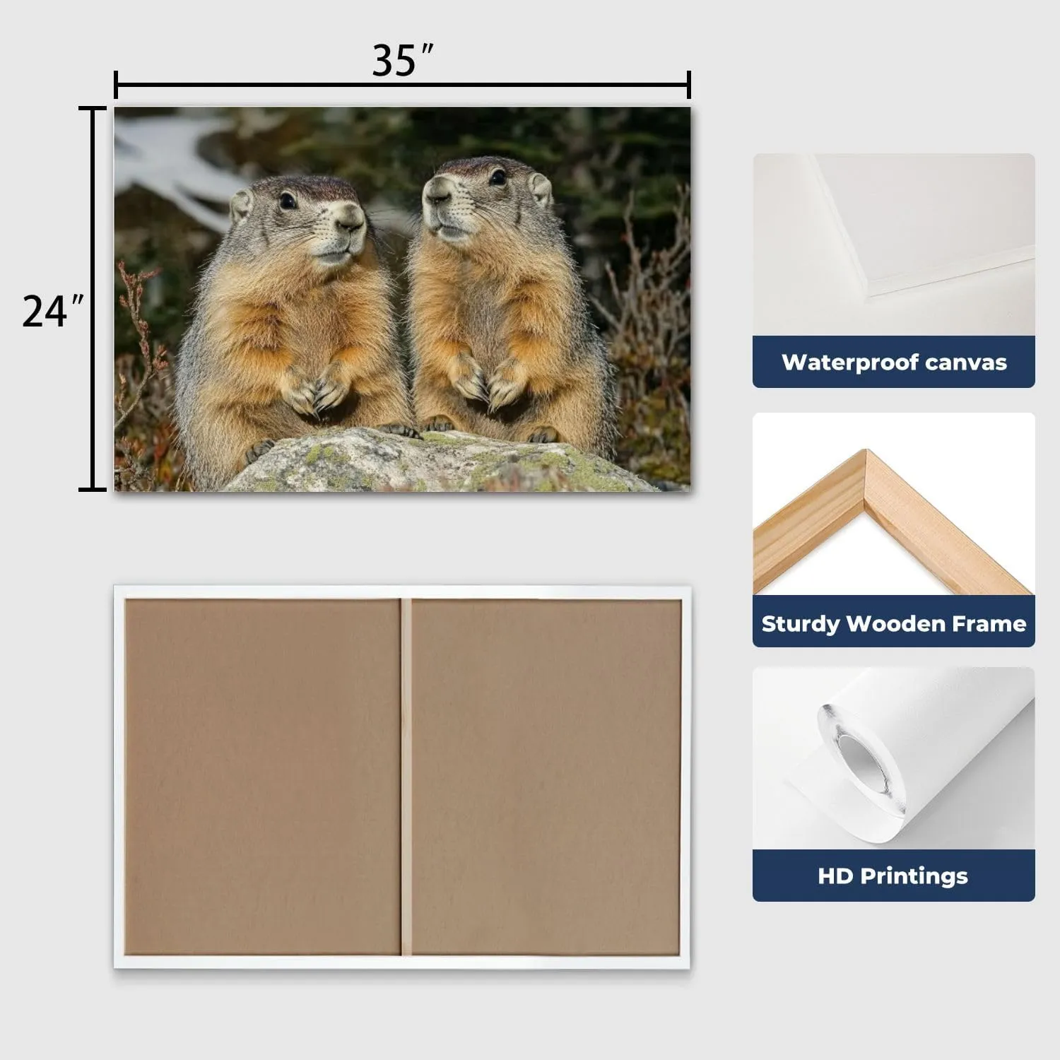 CHAUSSUREBAR Large Canvas Wall Art Alpine Marmot marmota marmota Adults standing Rocks Alps South East Canvas Art Prints Pictures Wall Decor Living Room Wall Paintings for Bedroom Bathroom 24" x 35"