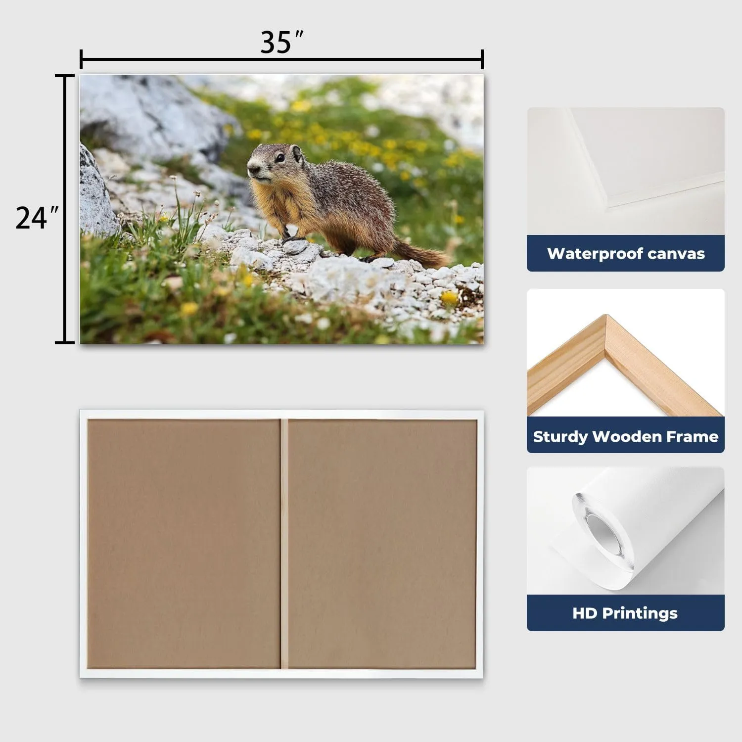 CHAUSSUREBAR Large Canvas Wall Art Alpine marmot Marmota marmota rock Canvas Art Prints Pictures Wall Decor Living Room Wall Paintings for Bedroom Bathroom 24" x 35"
