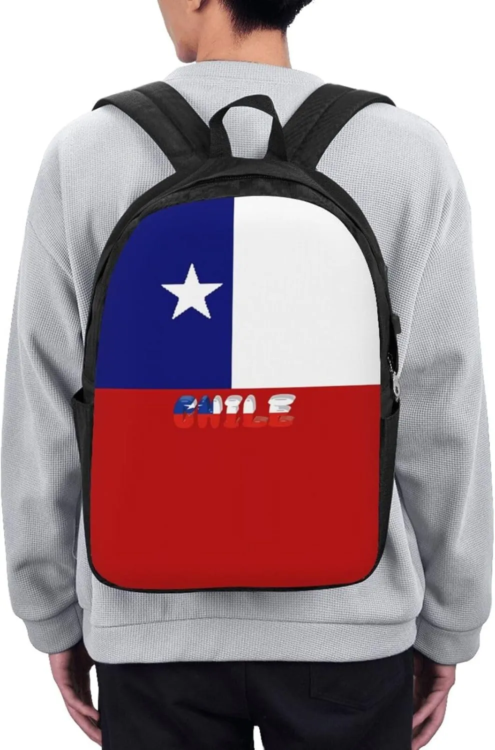 Chile Chilean Flag Laptop Backpacks Travel Backpack Casual Business Daypack Sport Rucksack Computer Bag Fits up to 17 Inch Notebook with USB Port