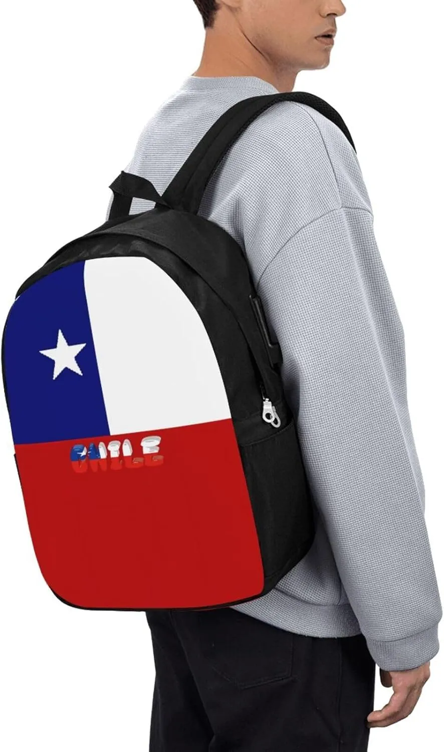 Chile Chilean Flag Laptop Backpacks Travel Backpack Casual Business Daypack Sport Rucksack Computer Bag Fits up to 17 Inch Notebook with USB Port