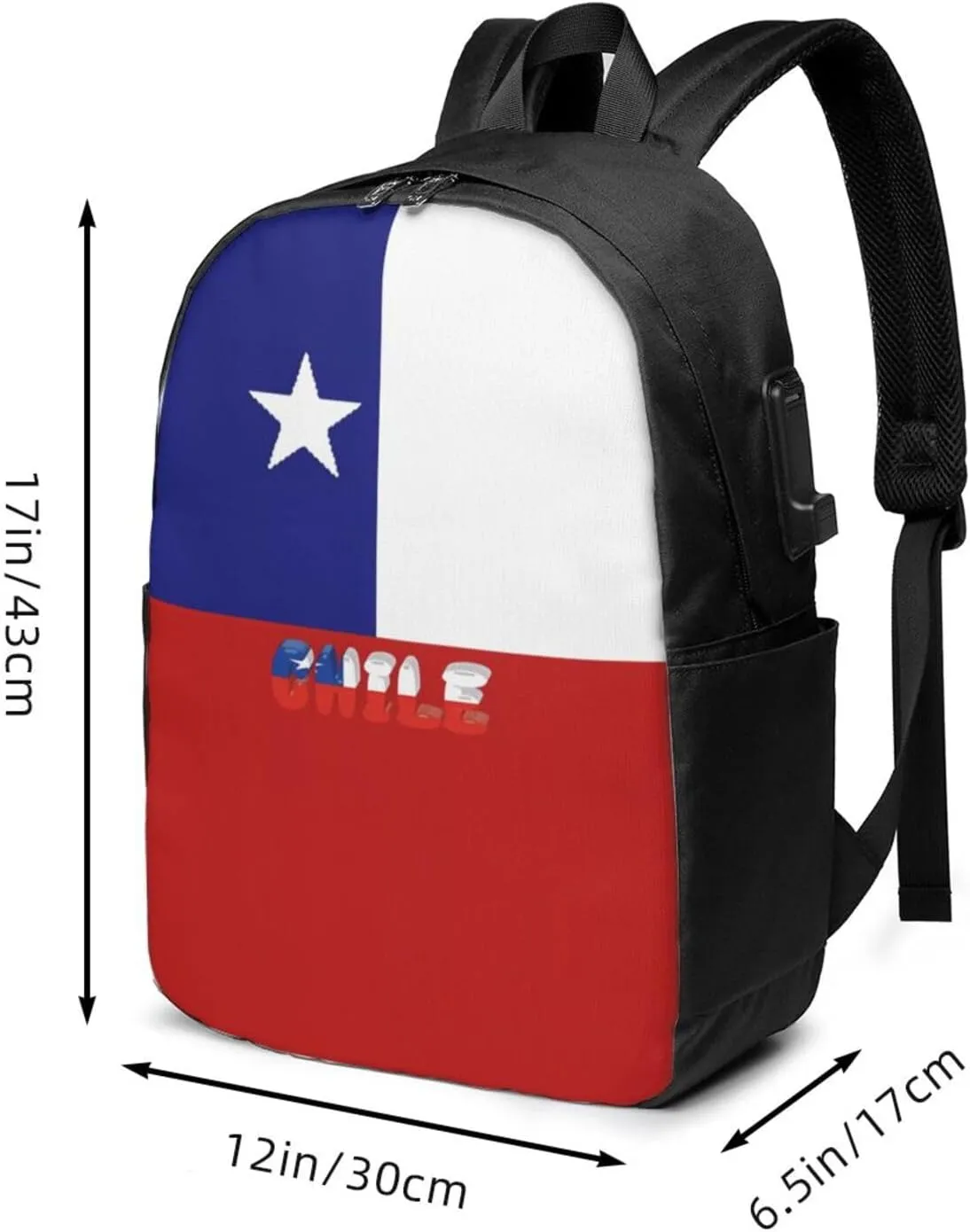 Chile Chilean Flag Laptop Backpacks Travel Backpack Casual Business Daypack Sport Rucksack Computer Bag Fits up to 17 Inch Notebook with USB Port
