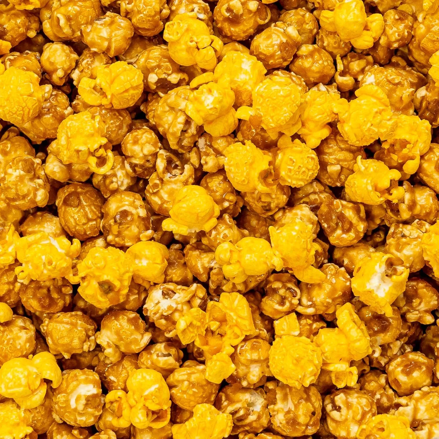 Colby Ridge Salted Caramel & Cheese Gourmet Craft Popped Gluten Free Popcorn Bulk Sized Large Gift Party Bags (Bulk 5 Gal. 80 Cups)