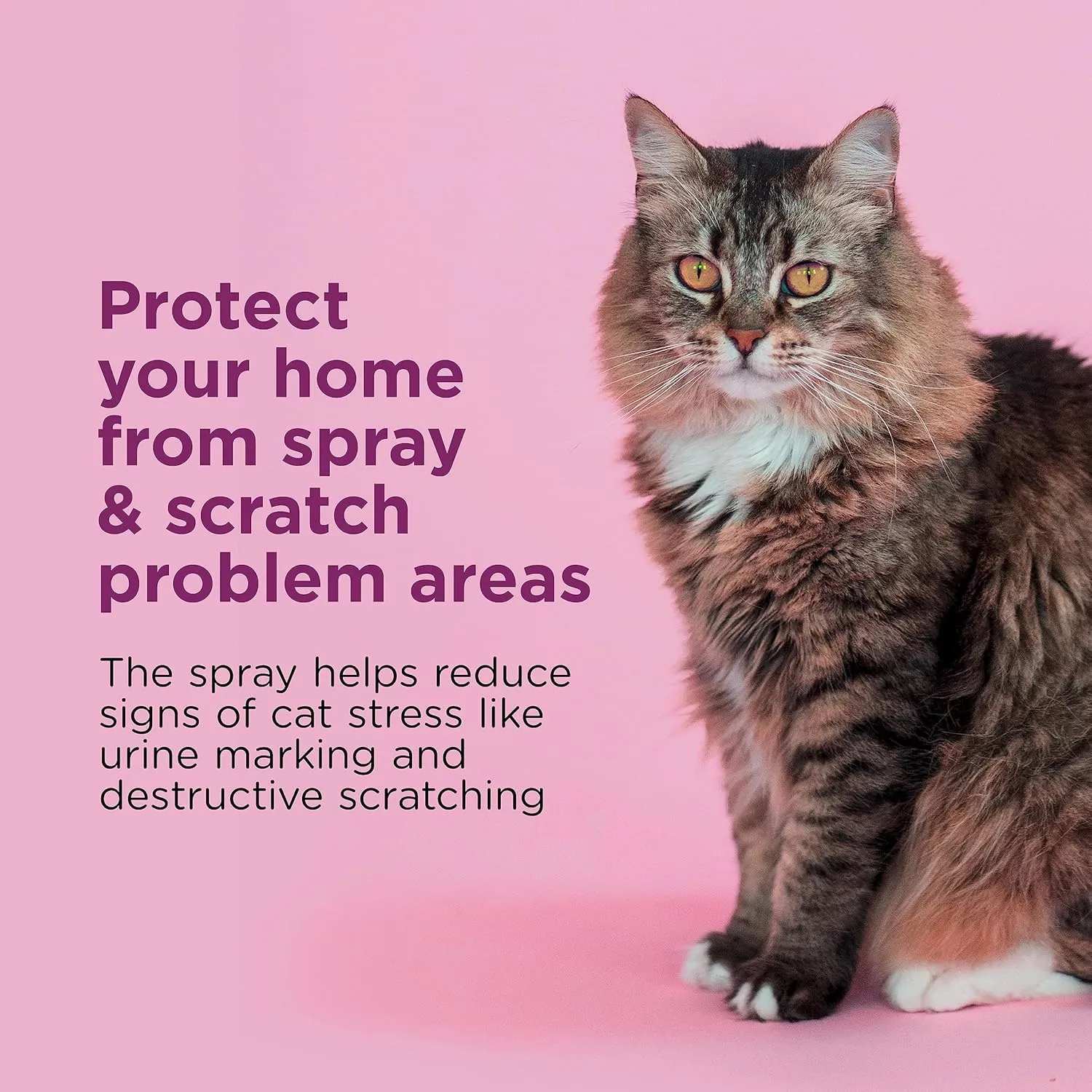 Comfort Zone Cat Calming Pheromone Spray: Value Size (4 oz); Proven to Reduce Destructive Scratching, Urine Marking, and Stress