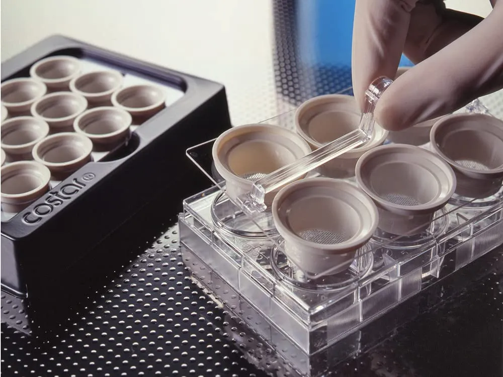 Corning Netwell 3521 Plastic Carrier Kit for 24mm Inserts, Nonsterile, 6 Well (Case of 8)