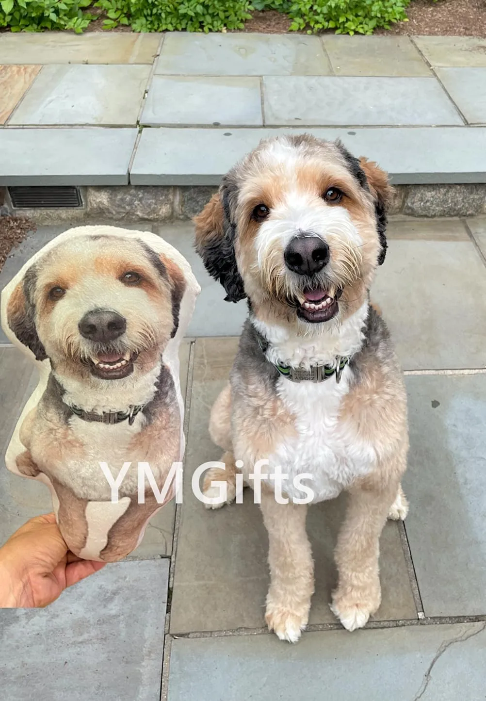 Custom Pet Pillow Custom Pet Photo Pillow Personalized Pillow Pet Portrait Pet Pillows Pet Memorial Dog Pillow’ (20", Colorful)