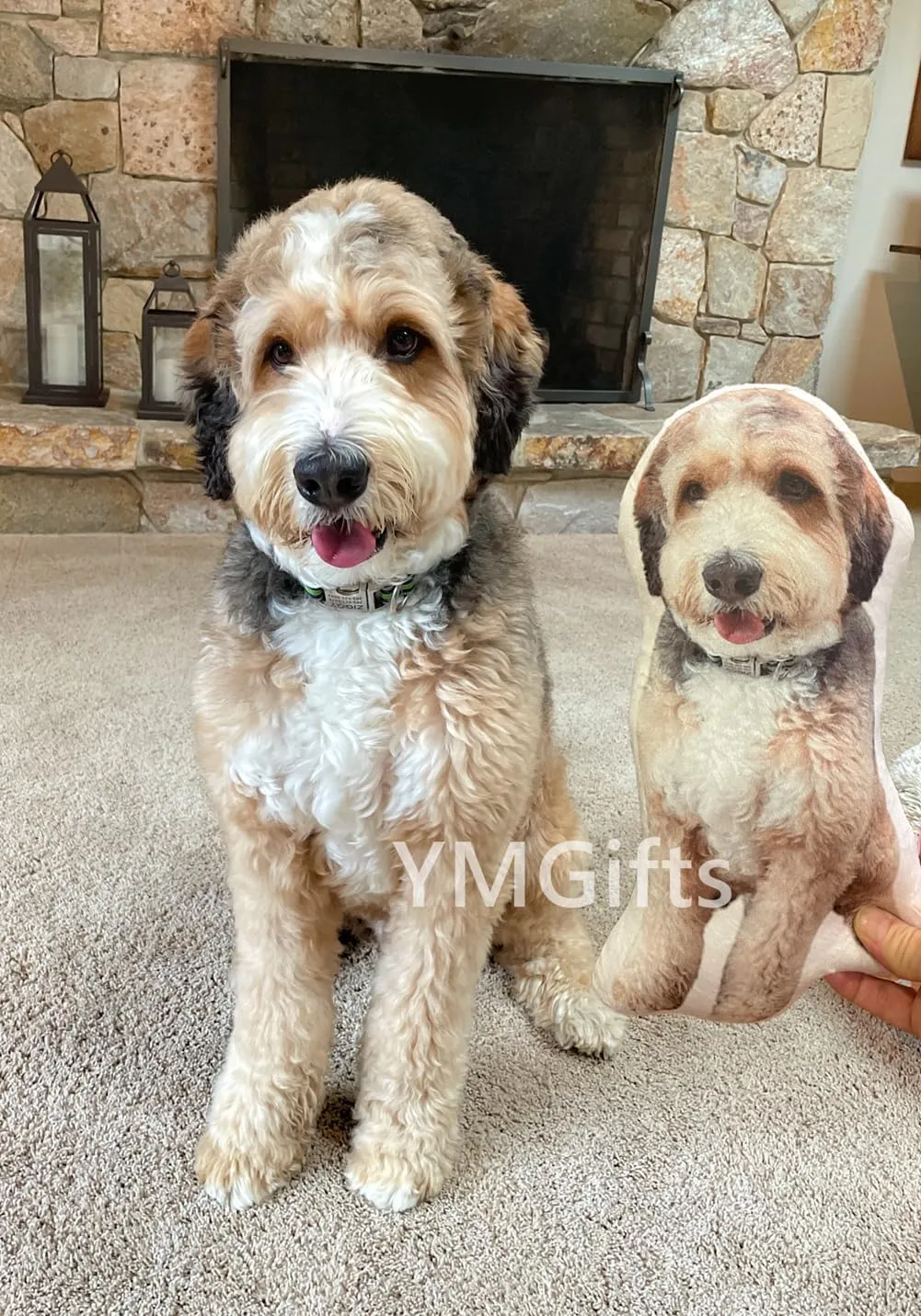 Custom Pet Pillow Custom Pet Photo Pillow Personalized Pillow Pet Portrait Pet Pillows Pet Memorial Dog Pillow’ (20", Colorful)