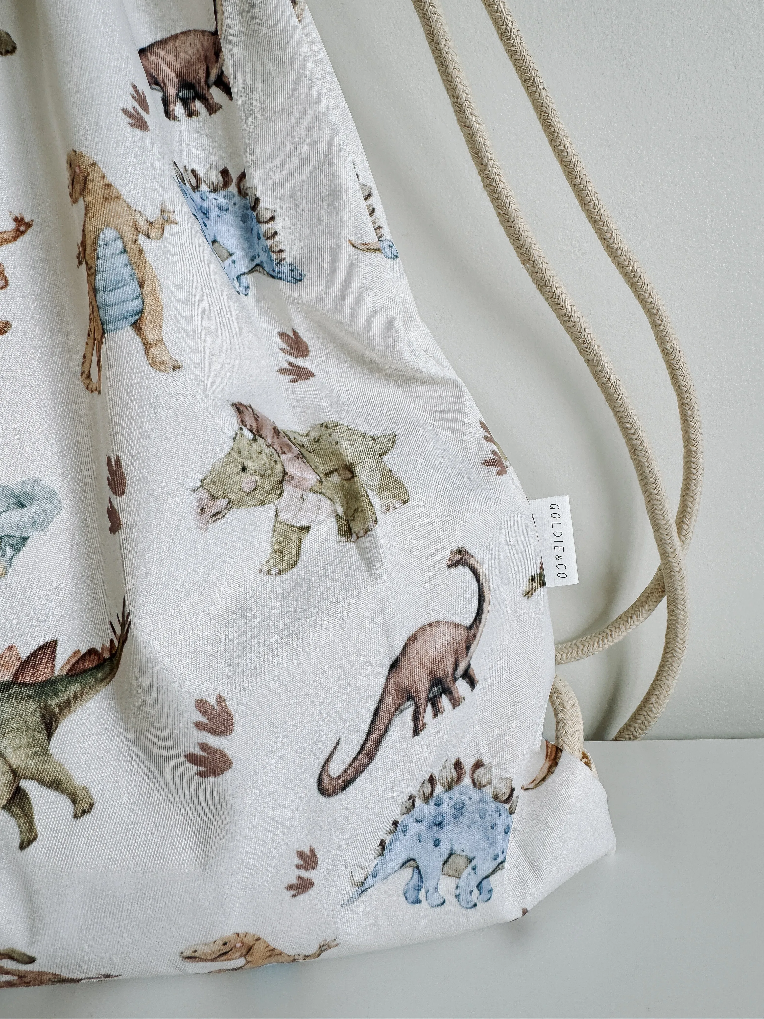 Dinosaur Swim Bag