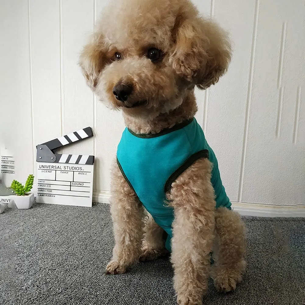 Dog’s Recovery Suit Post Surgery Shirt for Puppy, Wound Protective Clothes for Little Animals(Blue-s)