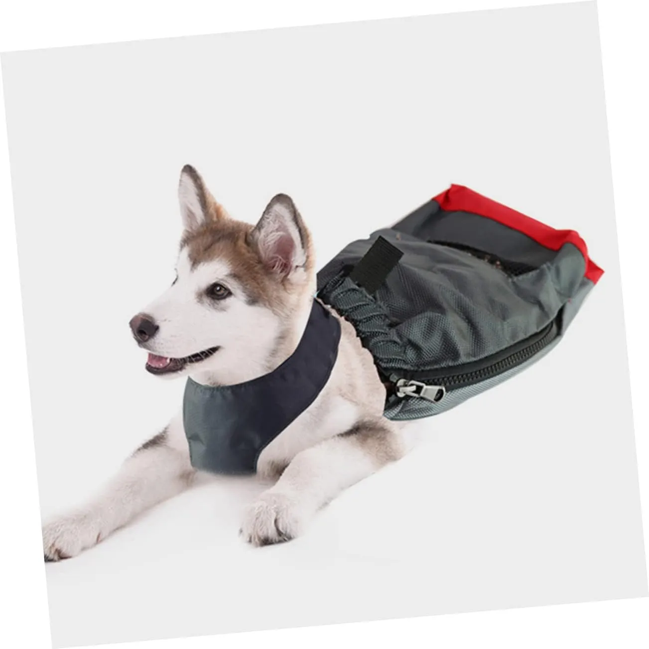 Drag Bag for Paralyzed Pets Portable Carrying Bag for Disabled Dogs and Cats Breathable Oxford Cloth Design Supports Safe Mobility and Comfort for Pets with Limited Mobility