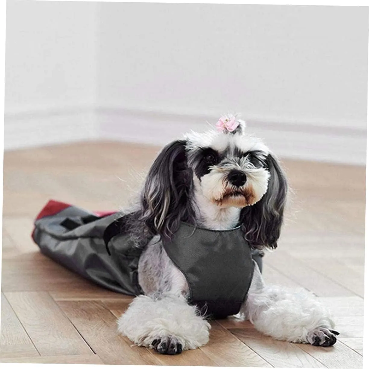 Drag Bag for Paralyzed Pets Portable Carrying Bag for Disabled Dogs and Cats Breathable Oxford Cloth Design Supports Safe Mobility and Comfort for Pets with Limited Mobility
