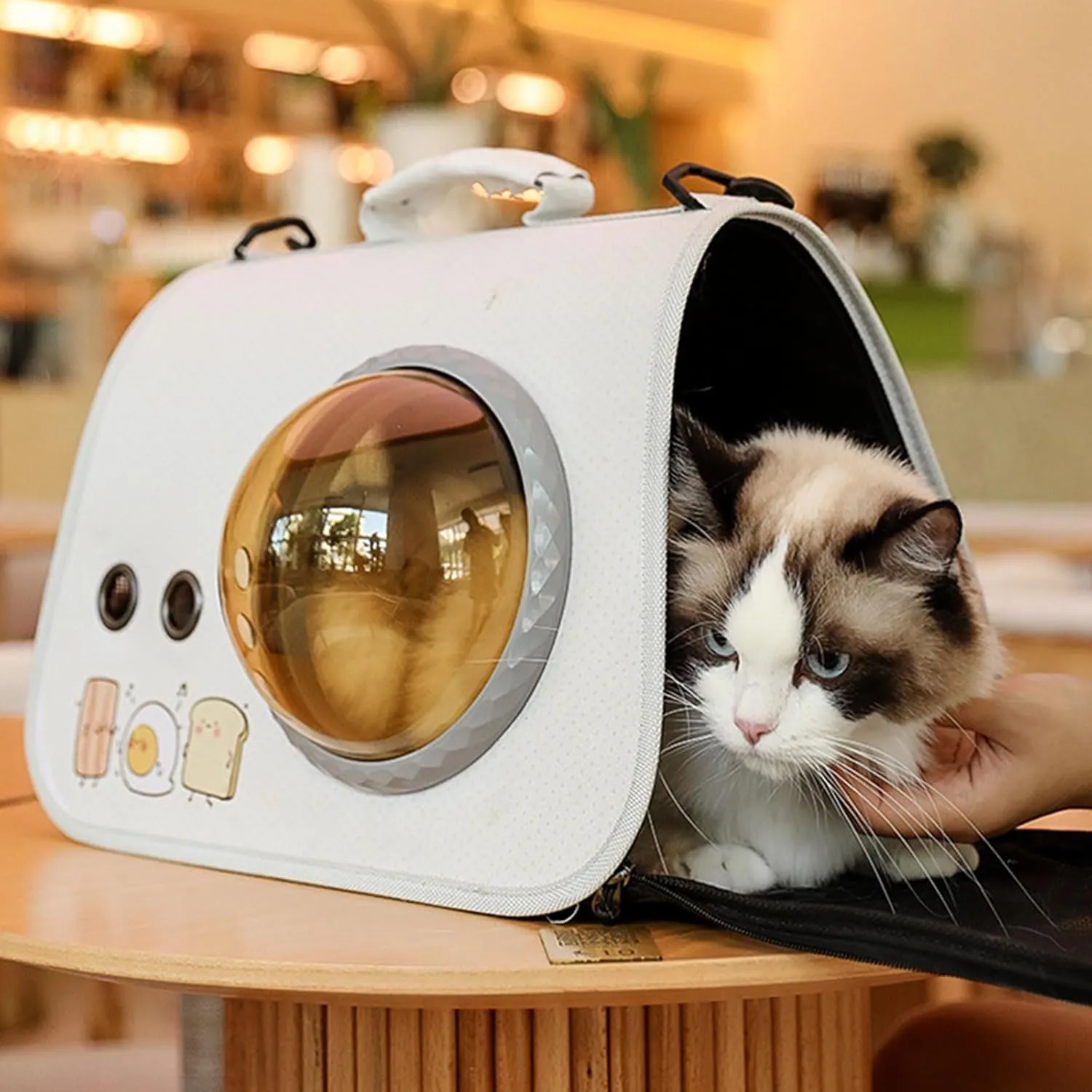 Fashion Pet Carry Bag Light Weight Pet Crossbody Bag Thickened Dog Carriers for Cats and Small Dogs