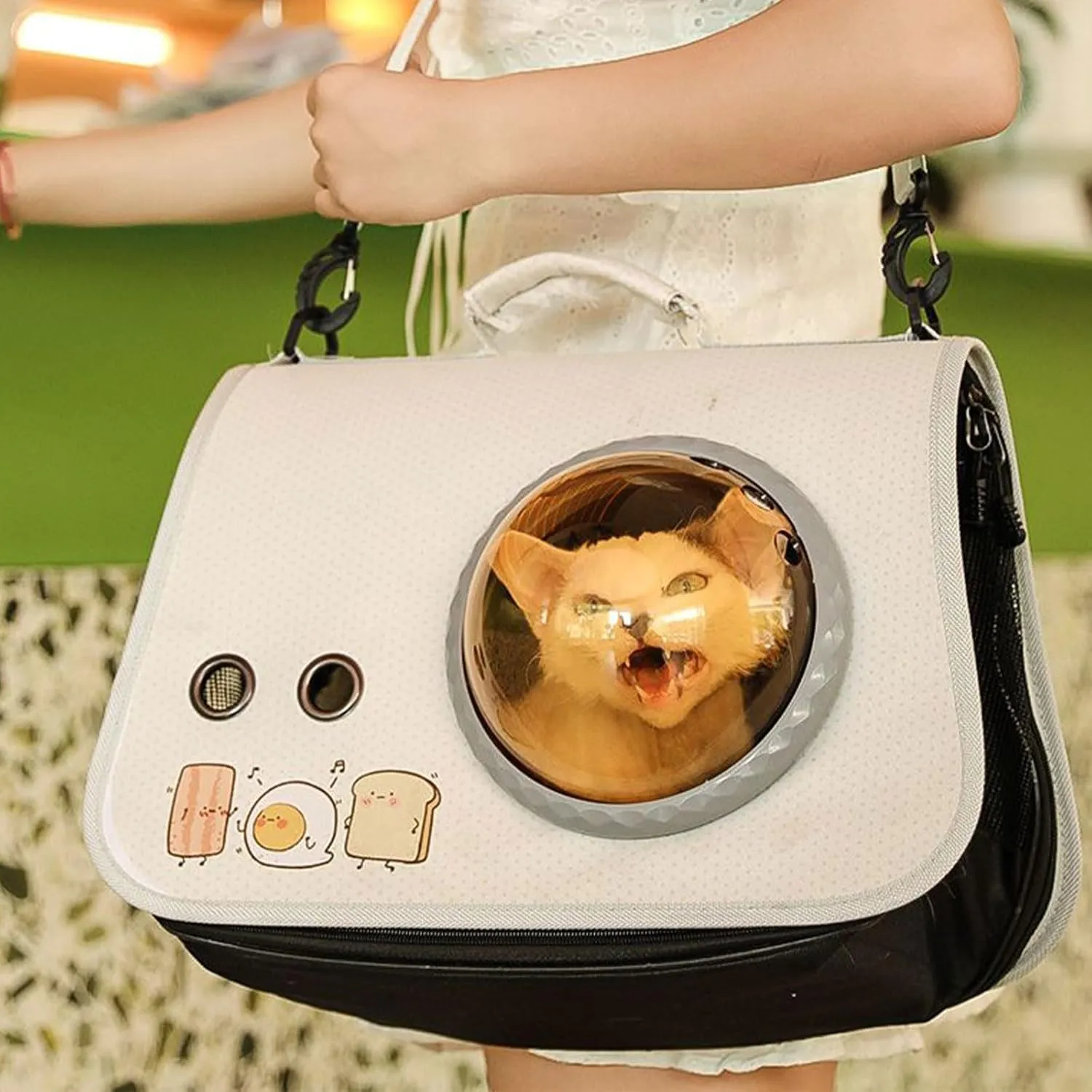 Fashion Pet Carry Bag Light Weight Pet Crossbody Bag Thickened Dog Carriers for Cats and Small Dogs