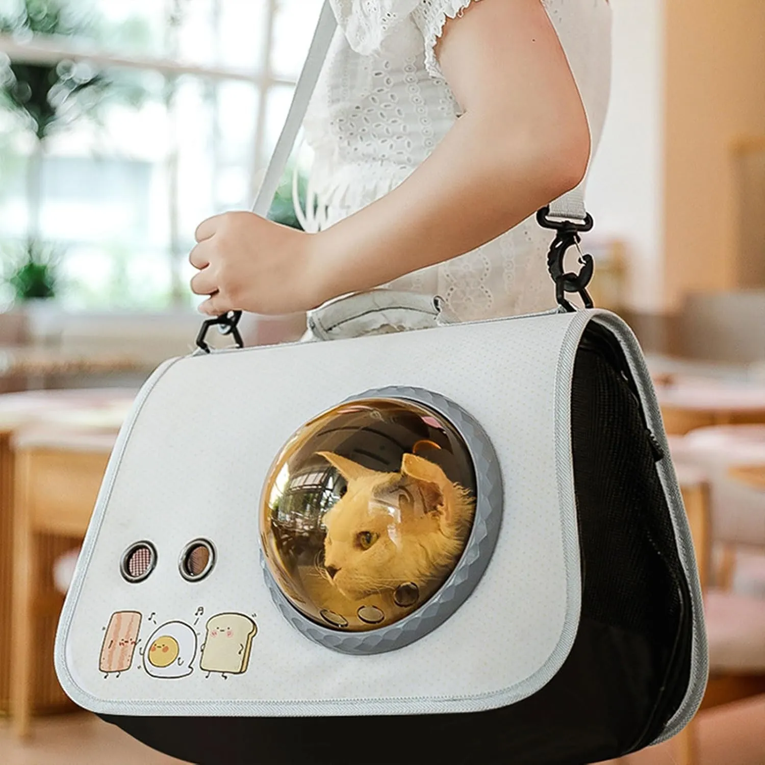 Fashion Pet Carry Bag Light Weight Pet Crossbody Bag Thickened Dog Carriers for Cats and Small Dogs