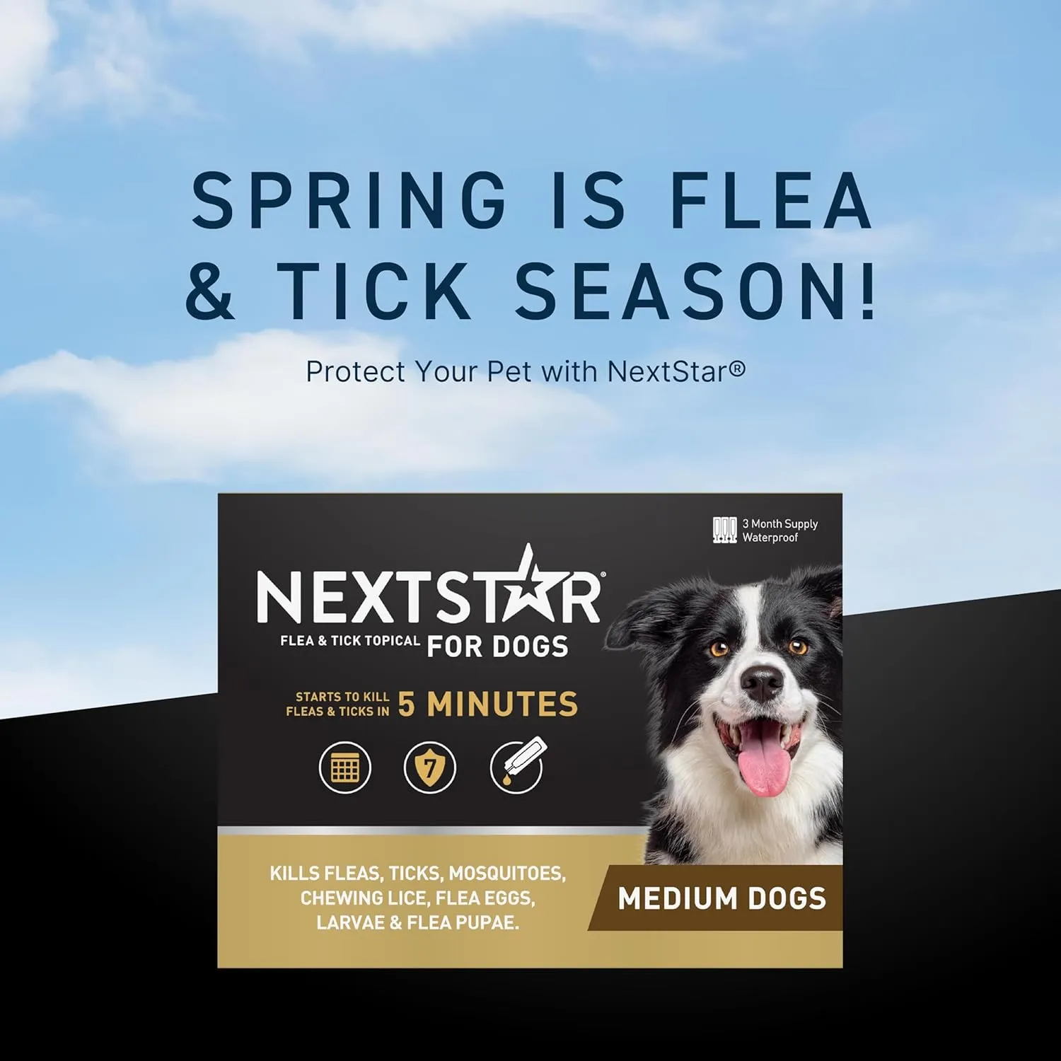 Flea and Tick Prevention for Dogs, Repellent, and Control, Fast Acting Waterproof Topical Drops for Medium Dogs, 3 Monthly Doses