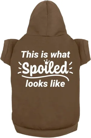 Funny Dog Hoodies - Cute Pet Clothes & Cat Sweatshirt | Breathable Brown (Large)