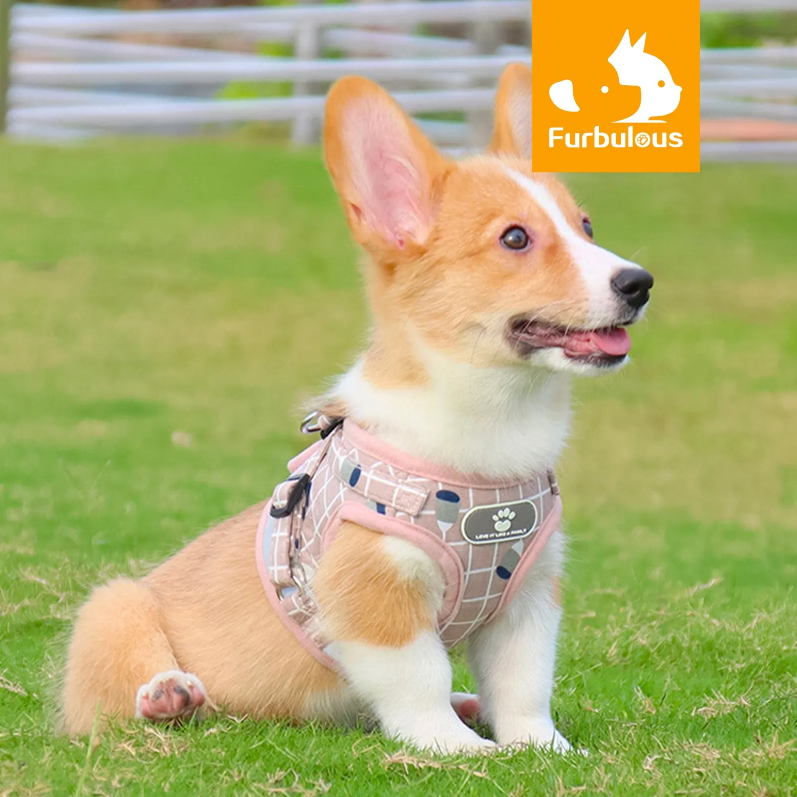 Furbulous No Pull Cat Small Dog Harness and Lead Set Adjustable Reflective Step-in Vest Harnesses Mesh Padded Plaid Escape Proof Puppy Jacket - Grey Medium