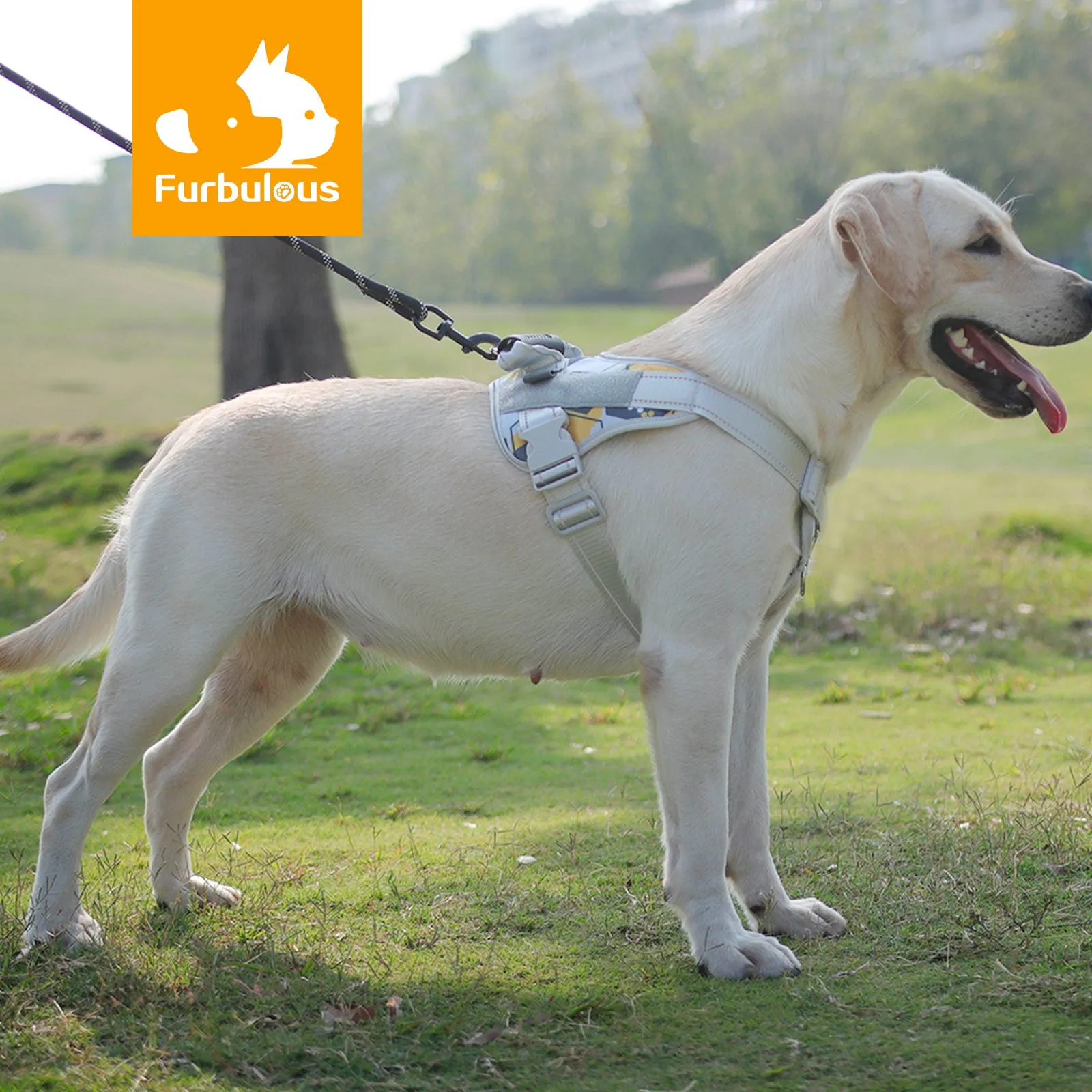 Furbulous No Pull Dog Harness Adjustable Pet Harness Reflective Explosion-proof Shock Dog Harness with 1.5m Lead - Blue Medium