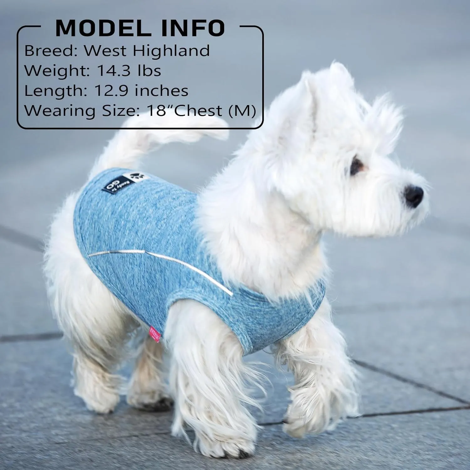 KYEESE 2Pack Dog Shirt with Reflective Stripe Athletic Tank Top Pet Shirt for Small Dogs Breathable Sleeveless Dog Vest,Grey Blue,S
