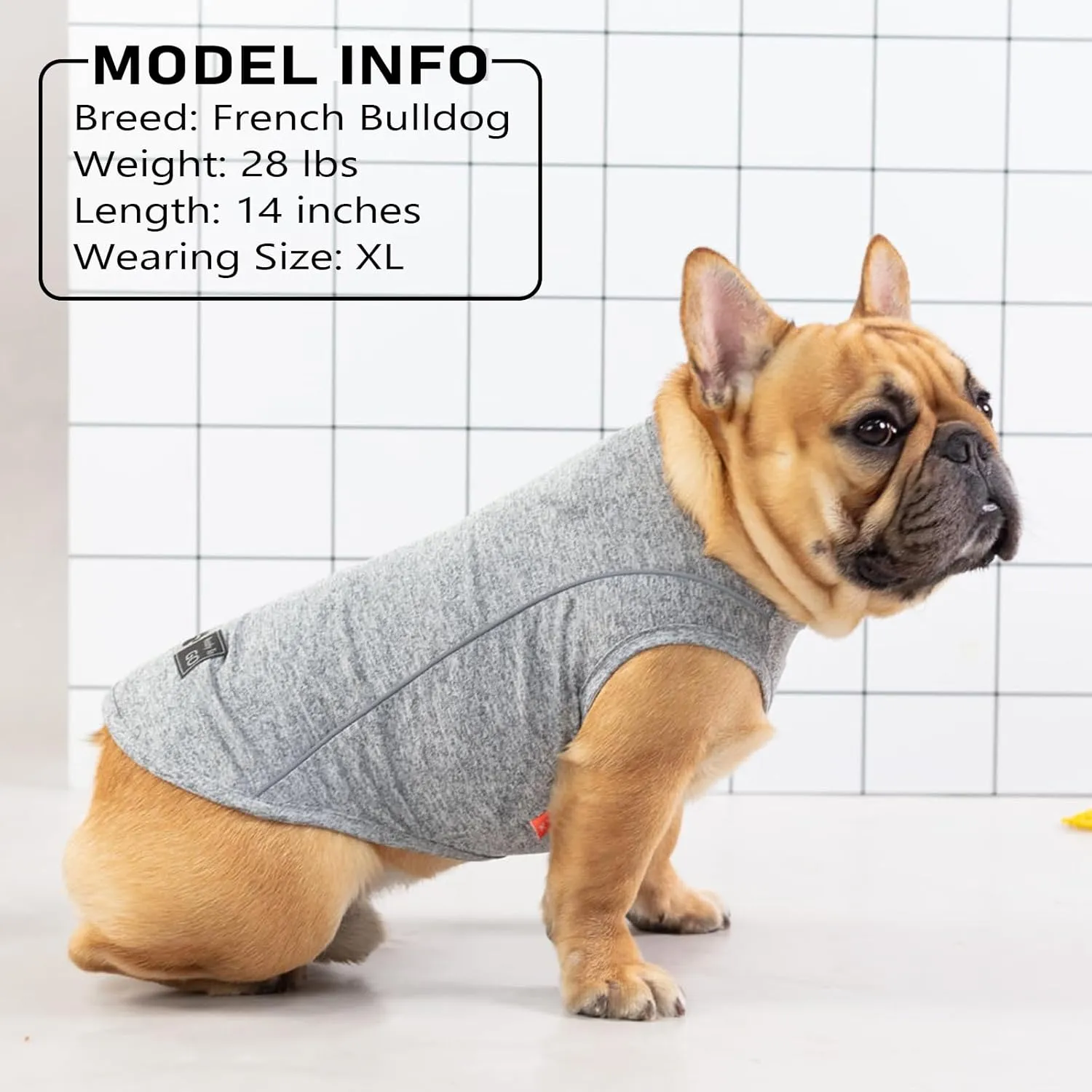 KYEESE 2Pack Dog Shirt with Reflective Stripe Athletic Tank Top Pet Shirt for Small Dogs Breathable Sleeveless Dog Vest,Grey Blue,S