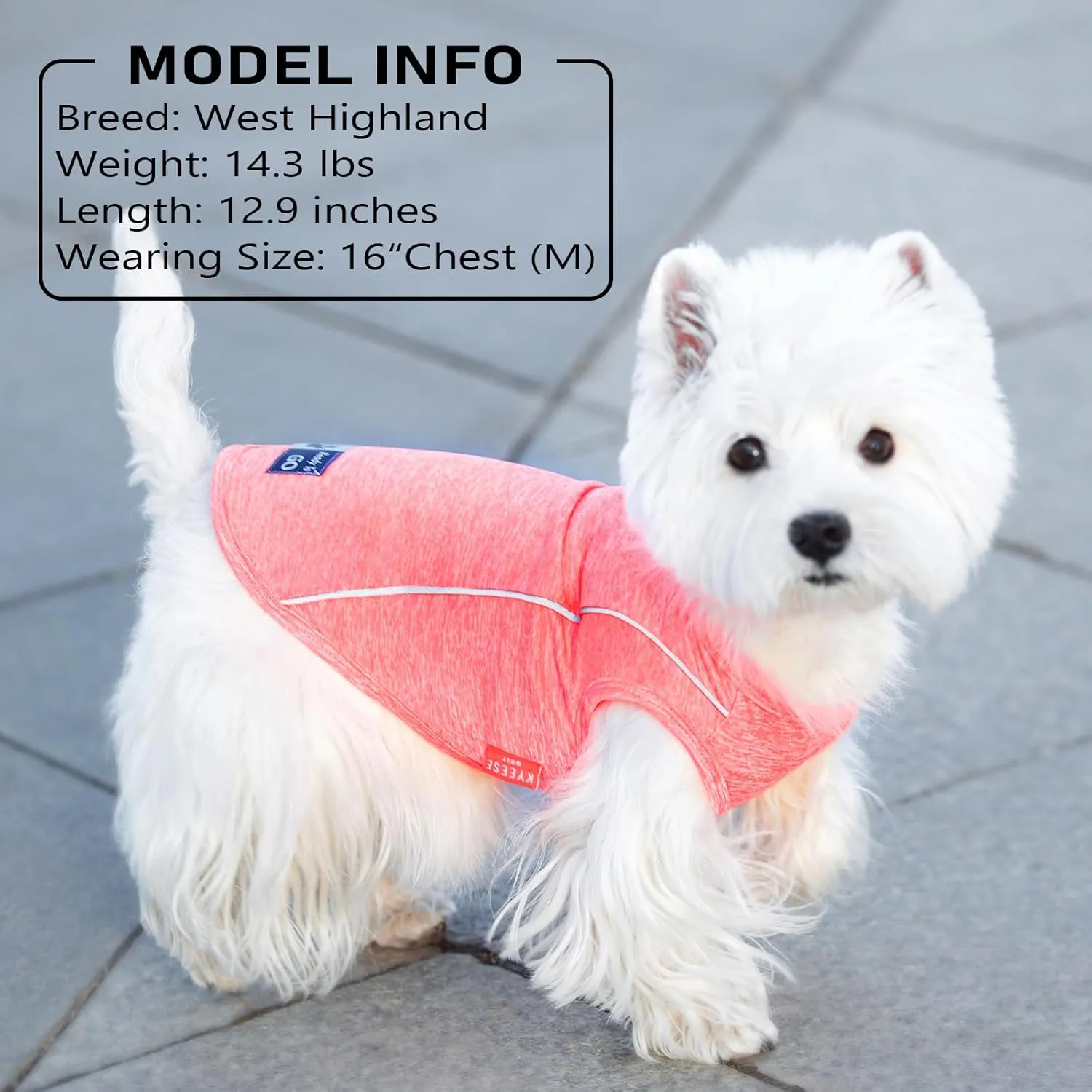 KYEESE 2Pack Dog Shirt with Reflective Stripe Athletic Tank Top Pet Shirt for Small Dogs Breathable Sleeveless Dog Vest,Grey Blue,S