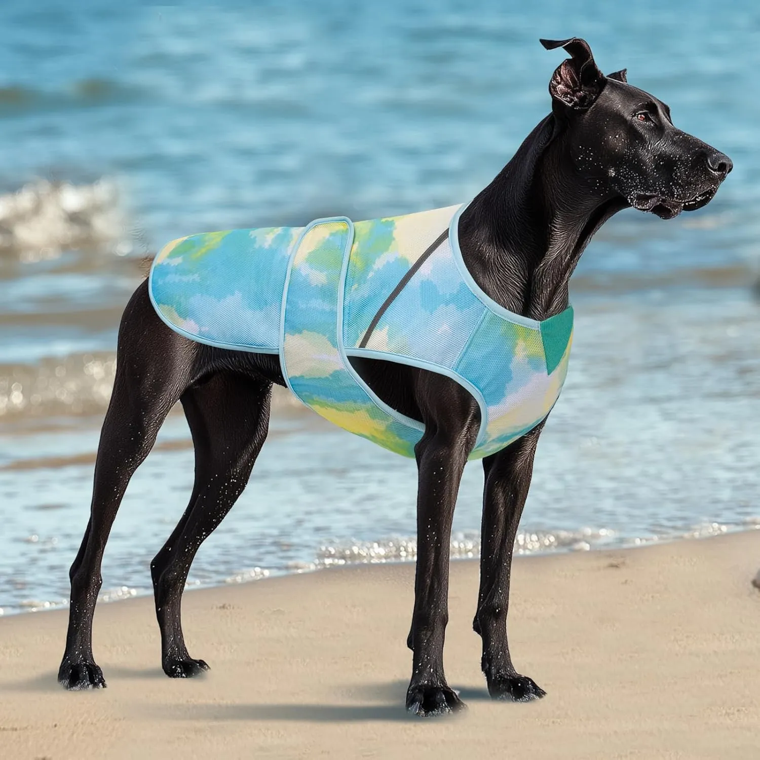 KYEESE Dog Cooling Vest Lightweight Dog Cooler Jacket 3D Breathable Mesh Pet Cooling Shirts with Reflective Stripe UV Protection Pet T Shirt for Beach, Hiking, Walking (Blue, M)
