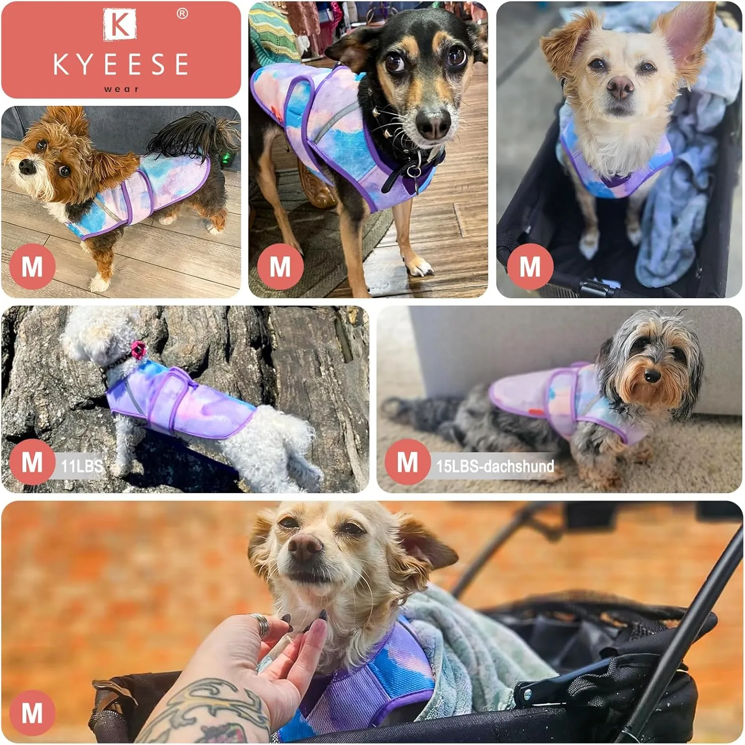 KYEESE Dog Cooling Vest Lightweight Dog Cooler Jacket 3D Breathable Mesh Pet Cooling Shirts with Reflective Stripe UV Protection Pet T Shirt for Beach, Hiking, Walking (Blue, M)