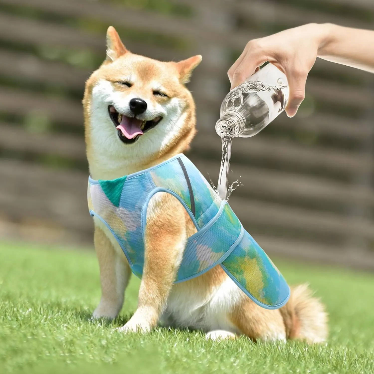 KYEESE Dog Cooling Vest Lightweight Dog Cooler Jacket 3D Breathable Mesh Pet Cooling Shirts with Reflective Stripe UV Protection Pet T Shirt for Beach, Hiking, Walking (Blue, M)