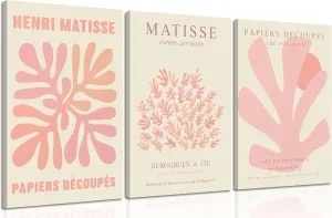 libitea 3 pcs Pink Coral Canvas Wall Art Abstract Minimalist Light Pink Preppy Wall Decor Pink Flower Market Poster Printing Artwork for Girls Room Dorm Bedroom Living Room Home Decoration