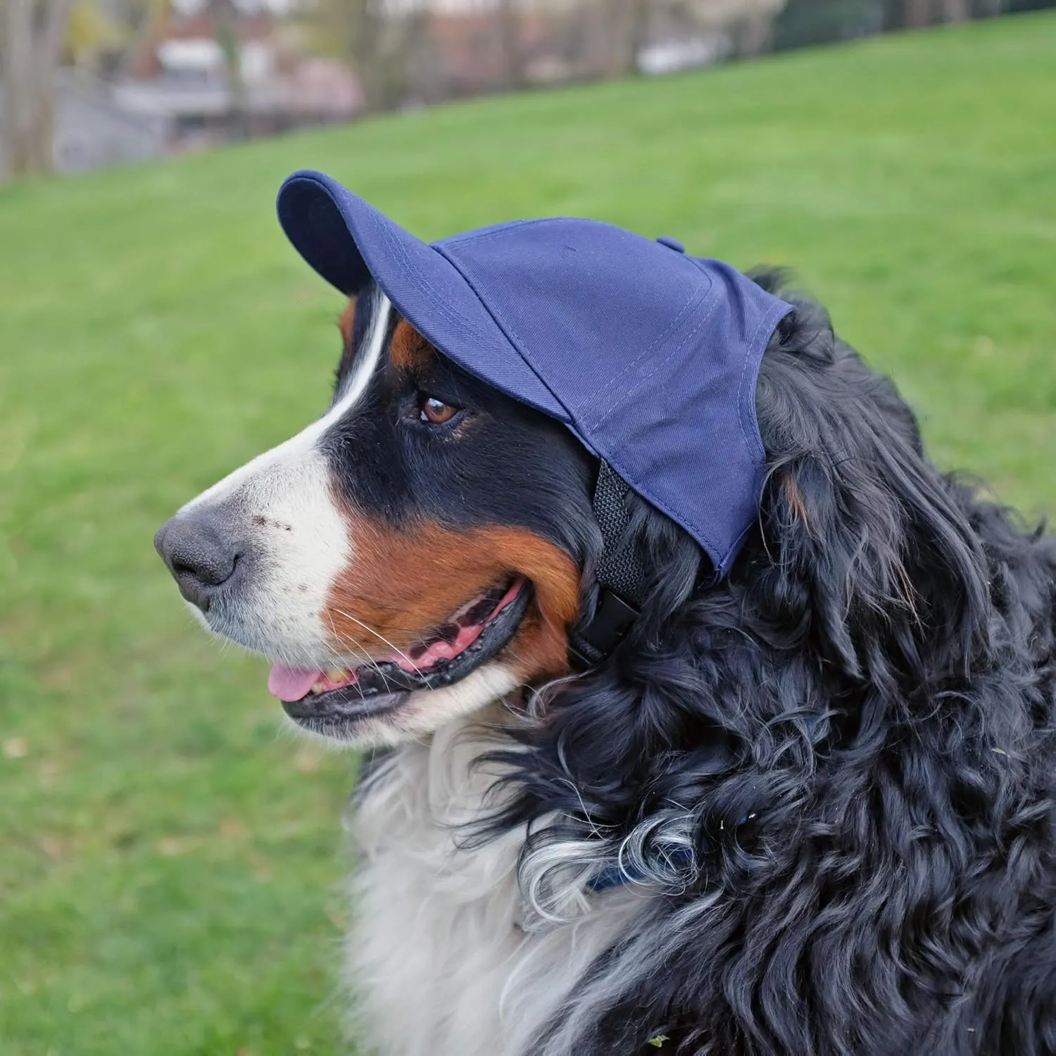 Littlearth NFL Pet Baseball Hat