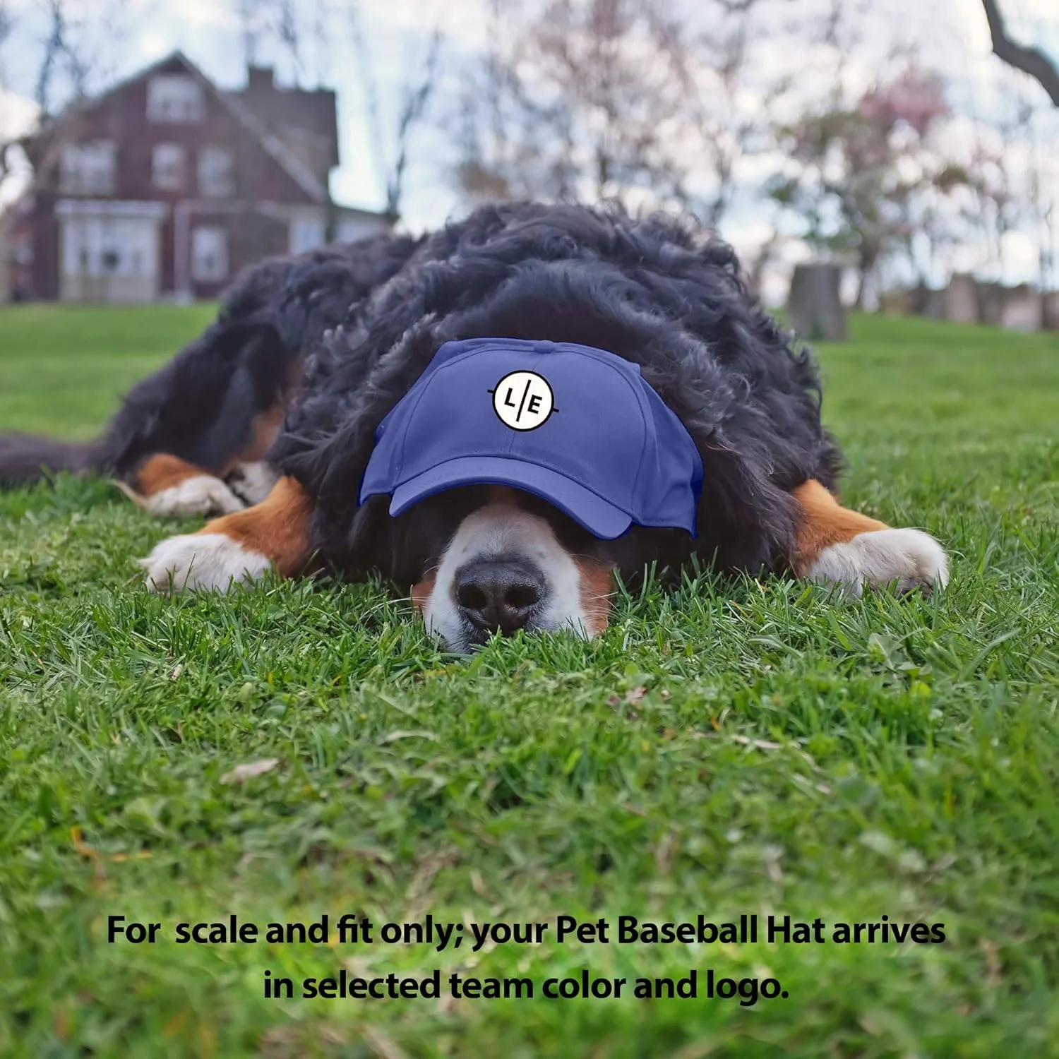 Littlearth NFL Pet Baseball Hat