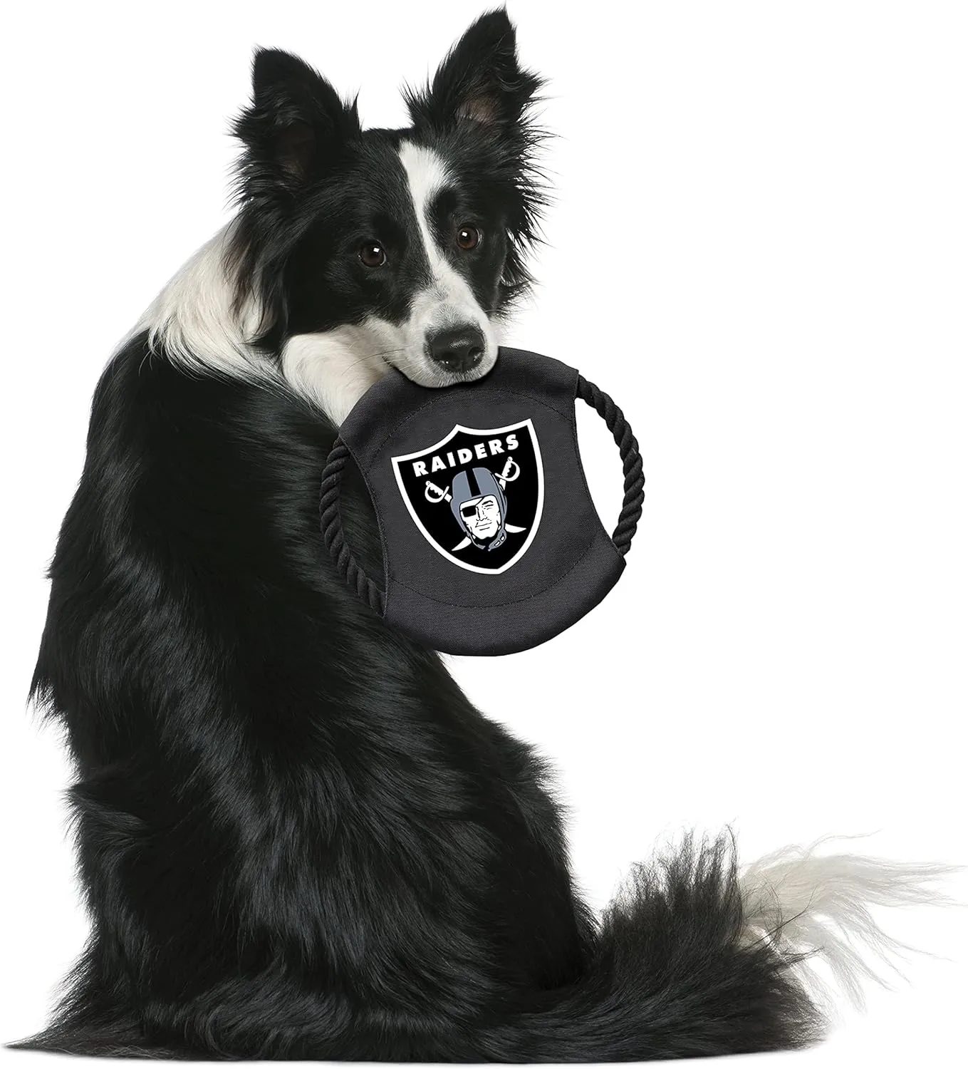 Littlearth NFL Unisex NFL Sock Monkey and Flying Disc Pet Toy Combo Set