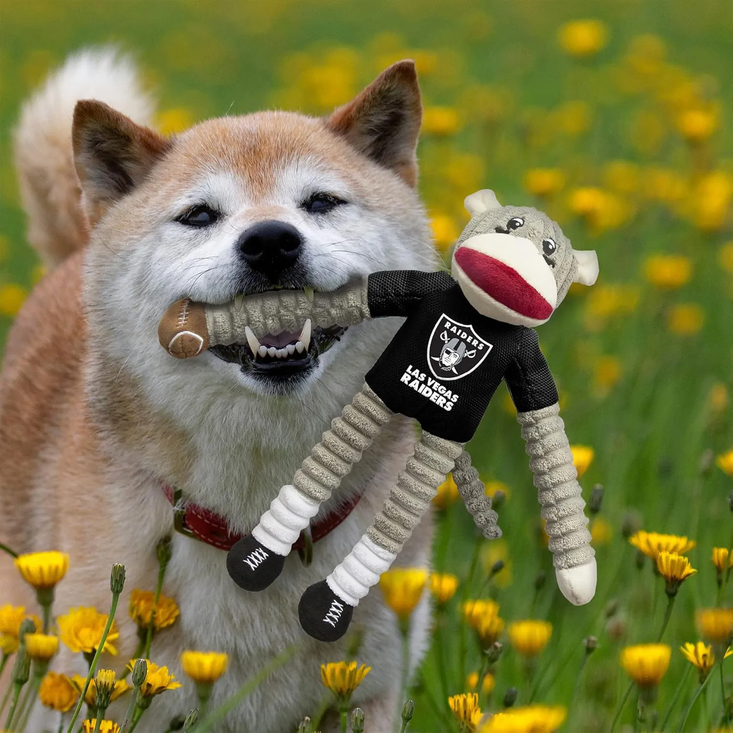 Littlearth NFL Unisex NFL Sock Monkey and Flying Disc Pet Toy Combo Set