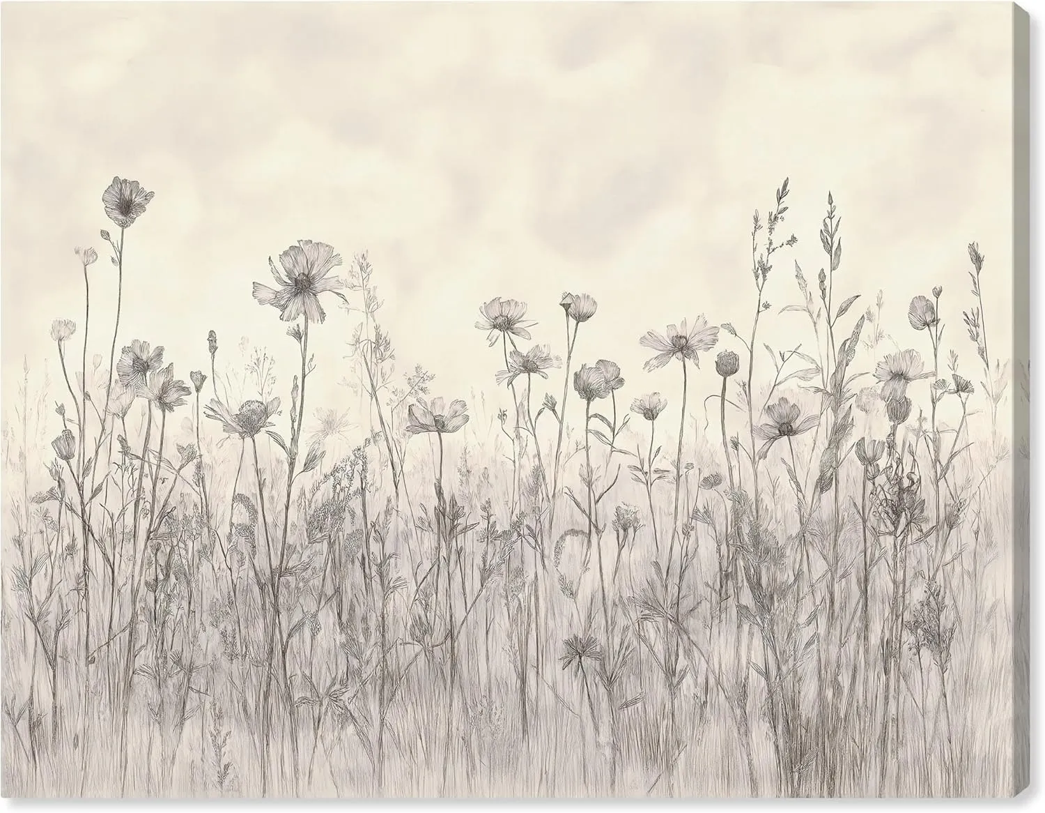 Muted Florals Canvas, 20" x 16", Gallery Wrapped, Field of Scribbles