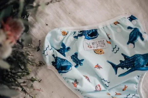 My Little Gumnut - MARINE LIFE - swimming nappy (18-36months)